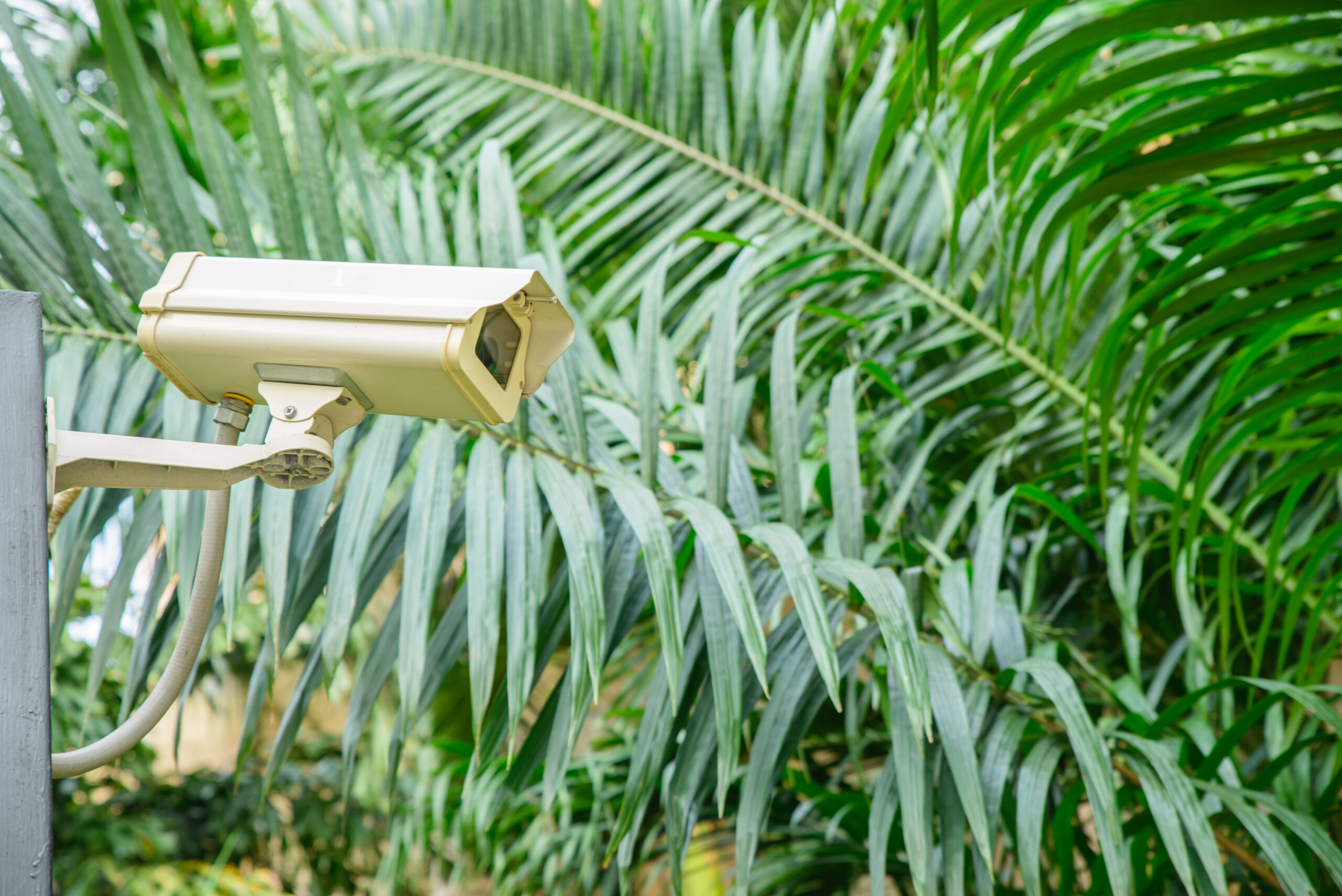 security camera monitoring travel place scaled